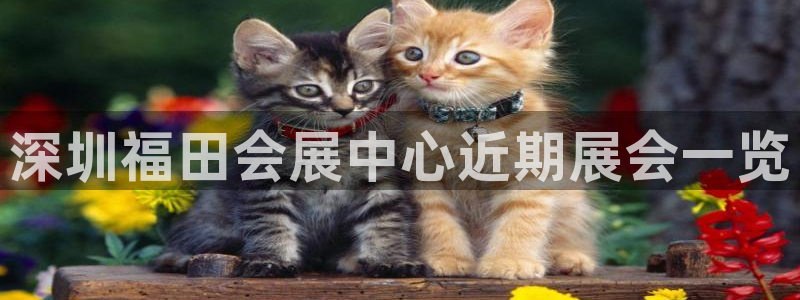 下载果博博东方下载：深圳福田会展中心近期展会一览