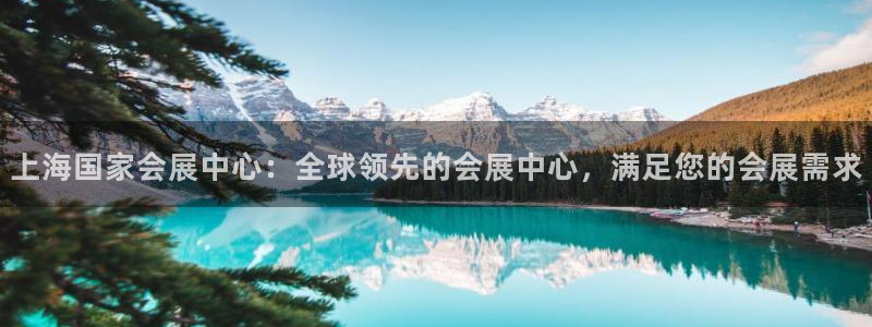 果博平台真实吗知乎怎么样：上海国家会展中心：全球领先的会展中心，满足您的会展需求