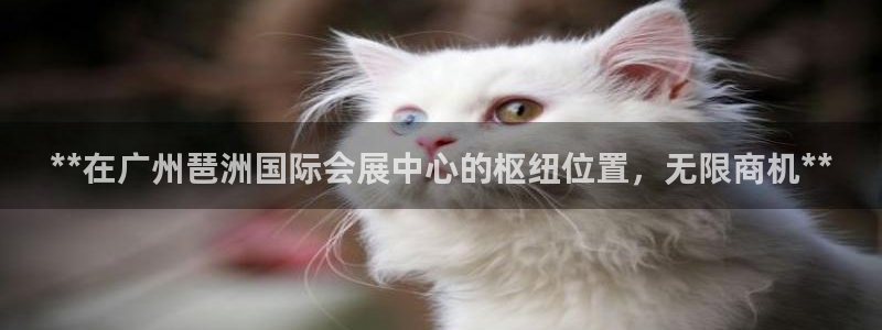 果博东手机版下载开户：**在广州琶洲国际会展中心的枢纽位置，无限商机**