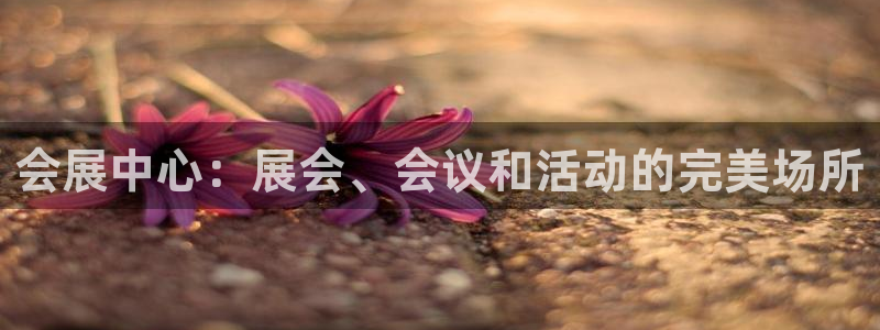 果博注册会员：会展中心：展会、会议和活动的完美场所