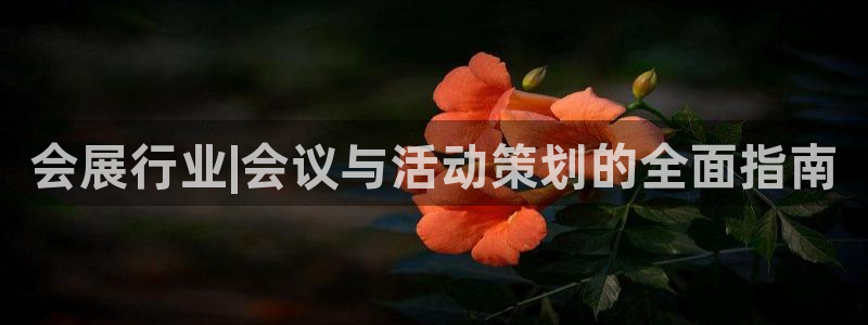 下载果博app