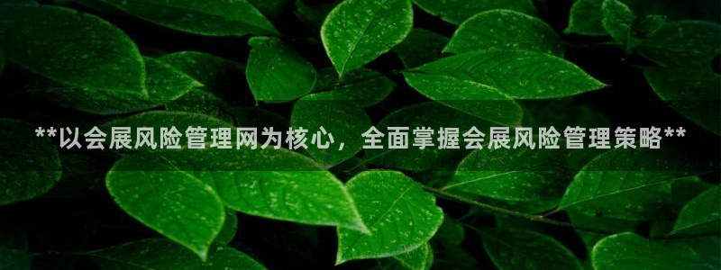果搏东方客服：**以会展风险管理网为核心，全面掌握会展风险管理策略**