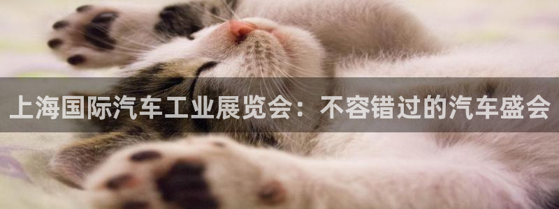 果博账号注册：上海国际汽车工业展览会：不容错过的汽车盛会