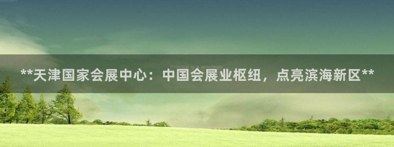 果博平台苹果电脑怎么下载：**天津国家会展中心：中国会展业枢纽，点亮滨海新区**