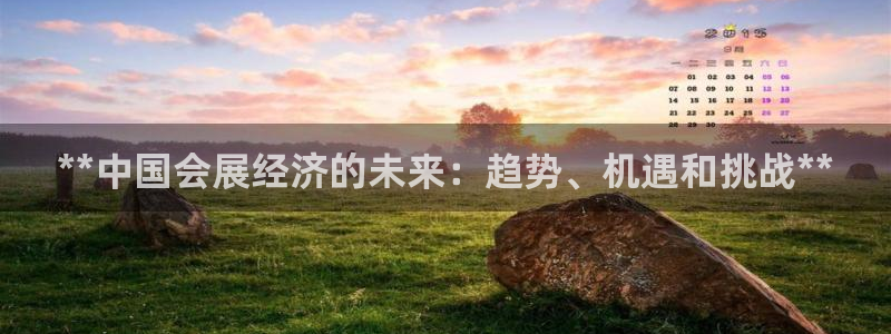 果博公司游戏网址：**中国会展经济的未来