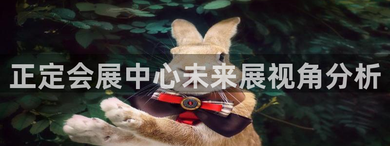 果博官网首页：正定会展中心未来展视角分析