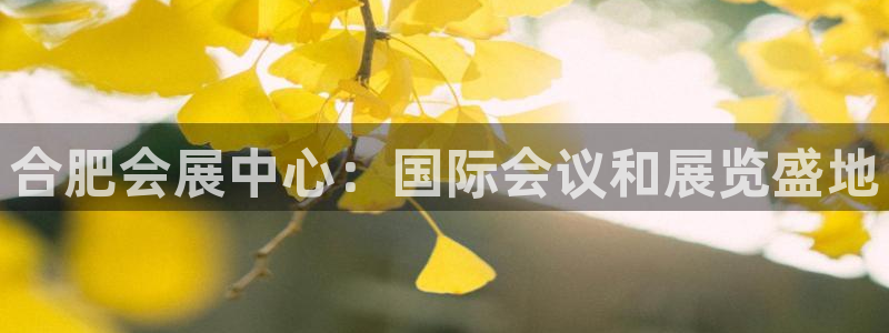 苹果电脑怎么下载伯索：合肥会展中心：国际会议和展览盛地