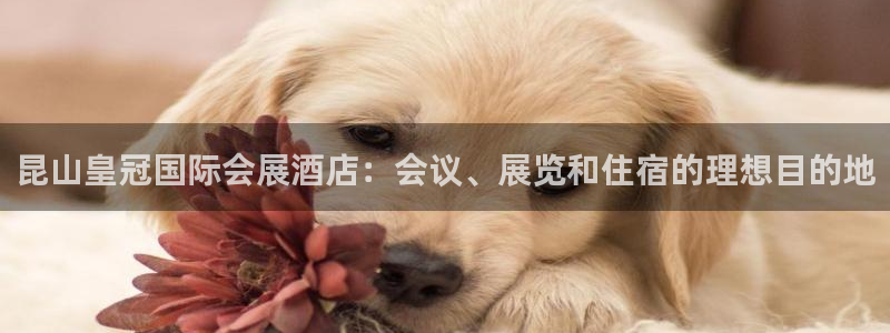 果博公司联系电话：昆山皇冠国际会展酒店：会议、展览和住宿的理想目的地