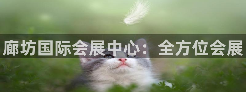 果博环保官网：廊坊国际会展中心：全方位会展