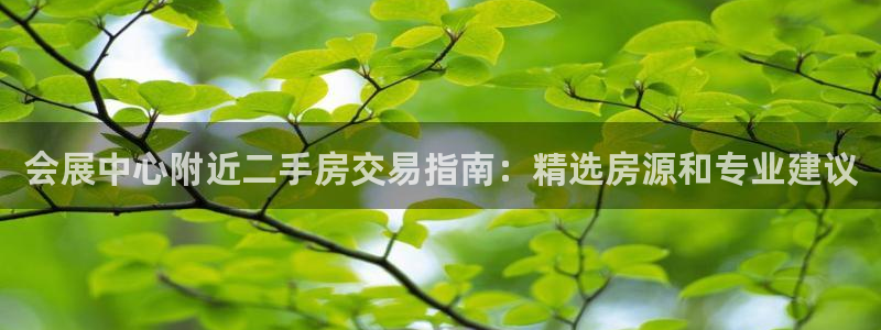 果博注册客服电话号码查询：会展中心附近二手房交易指南：精选房源和专业建议