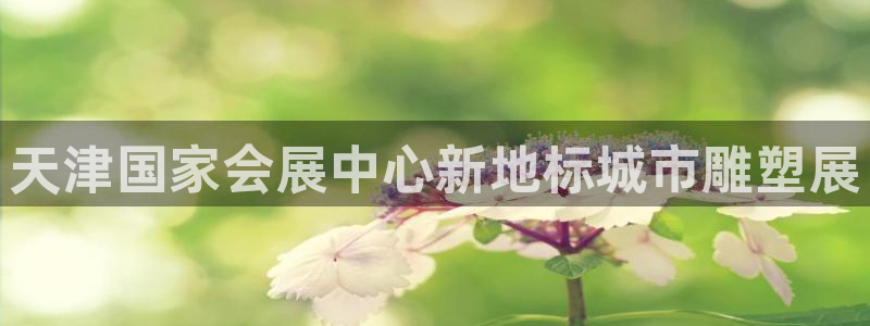 果博公司网站：天津国家会展中心新地标城市雕塑展