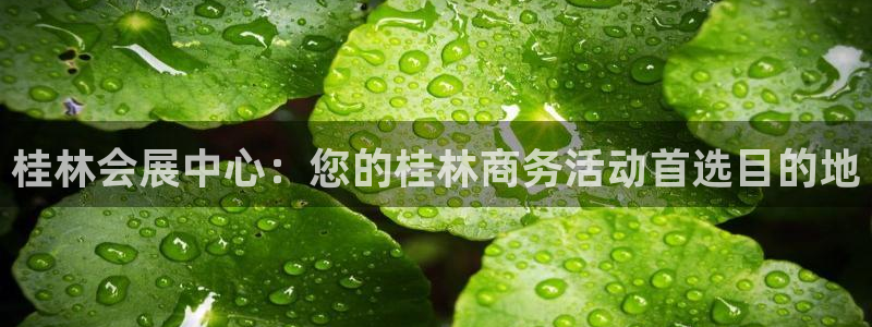 果博平台电话：桂林会展中心：您的桂林商务