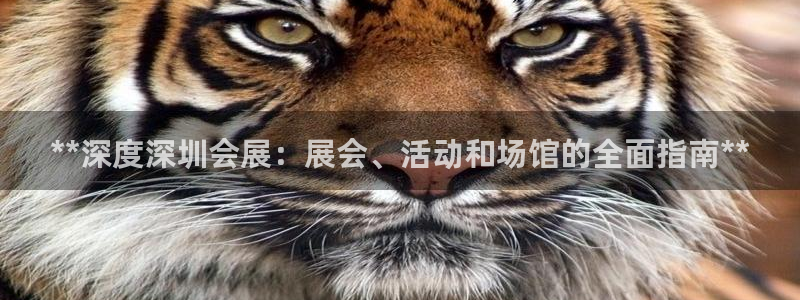 果博注册平台：**深度深圳会展：展会、活动和场馆的全面指南**