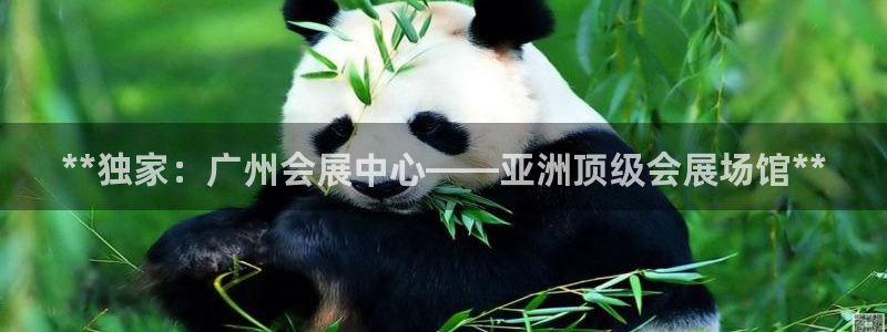 苹果电脑可以下载博易大师吗：**独家：广州会展中心——亚洲顶级会展场馆**
