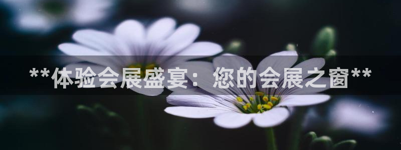 下载果博：**体验会展盛宴：您的会展之窗**