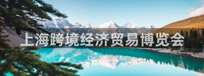 下载果博：上海跨境经济贸易博览会