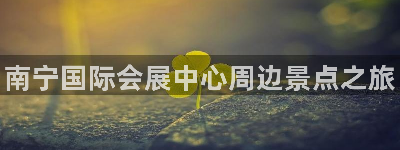 果博代理网：南宁国际会展中心周边景点之旅