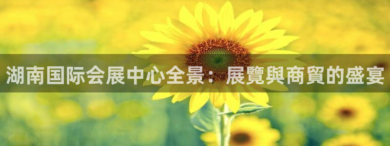 果博注册客服电话号码：湖南国际会展中心全景：展覽與商貿的盛宴