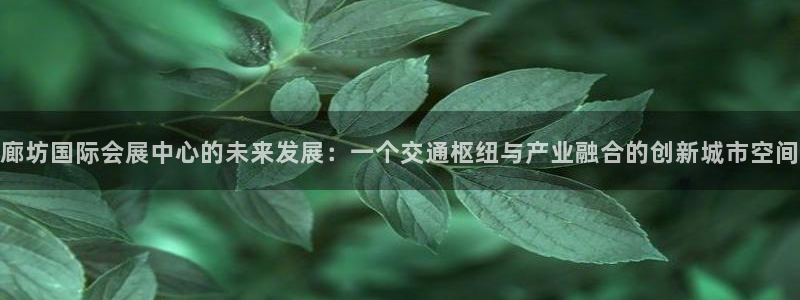 果博官网：廊坊国际会展中心的未来发展：一个交通枢纽与产业融合的创新城市空间