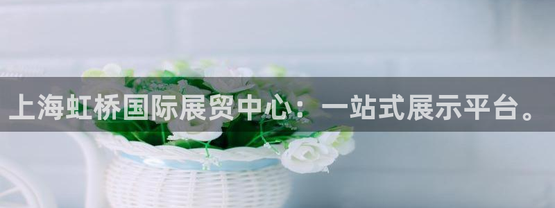 下载果博博东方：上海虹桥国际展贸中心：一