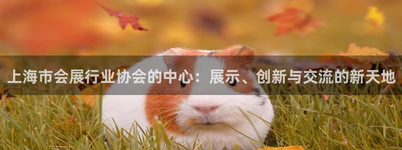 果博客服电话哪里找啊：上海市会展行业协会的中心：展示、创新与交流的新天地