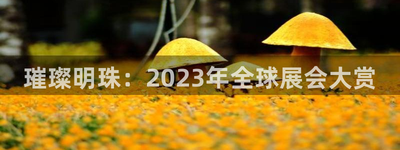 果博公司会员注册：璀璨明珠：2023年全球展会大赏