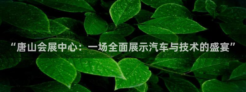果博公司客服怎么样：“唐山会展中心：一场全面展示汽车与技术的盛宴”