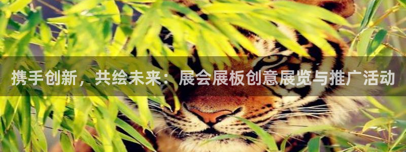 果博上分电话：携手创新，共绘未来：展会展板创意展览