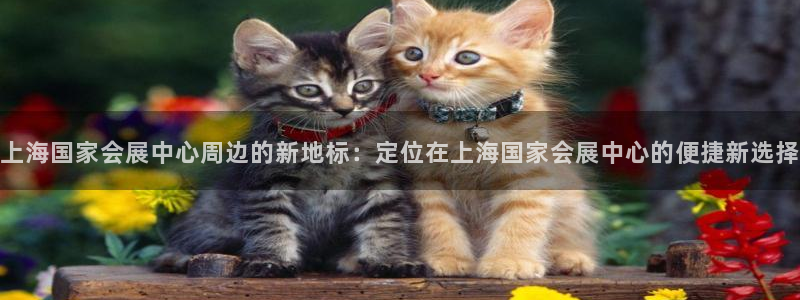 果博公司会员账号开户：上海国家会展中心周边的新地标