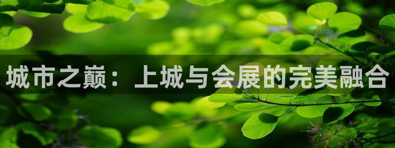 果博官网电话：城市之巅：上城与会展的完美融合
