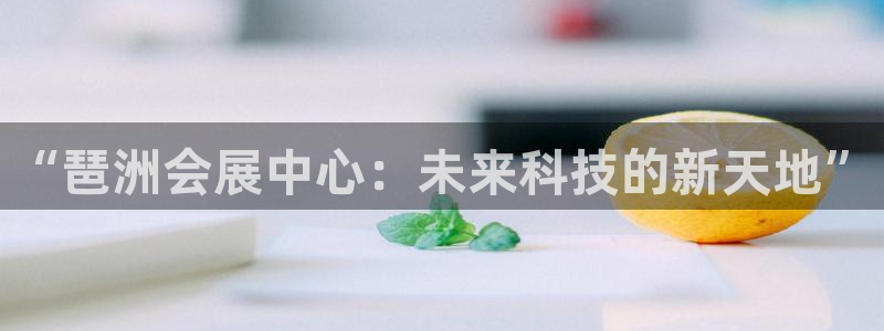 下载果博博东方下载：“琶洲会展中心：未来
