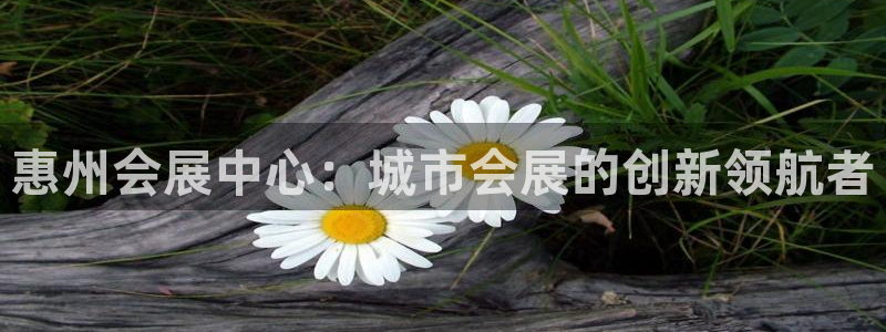 果博公司上分客服：惠州会展中心：城市会展的创新领航者