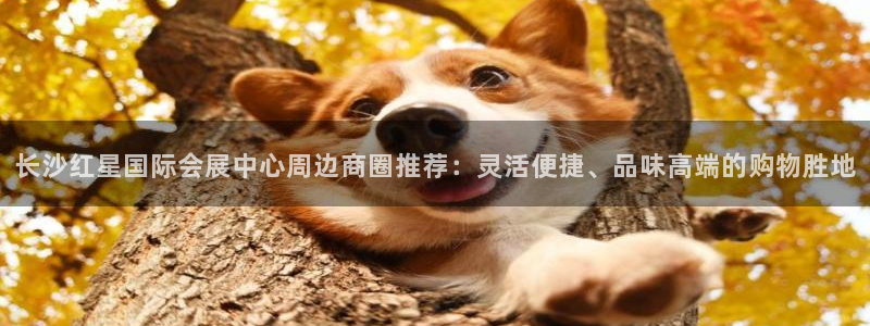 果博平台真实吗安全吗：长沙红星国际会展中心周边商圈