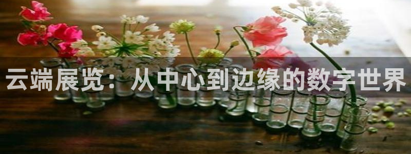 果博官网客服电话号码查询：云端展览：从中心到边缘的数字世界
