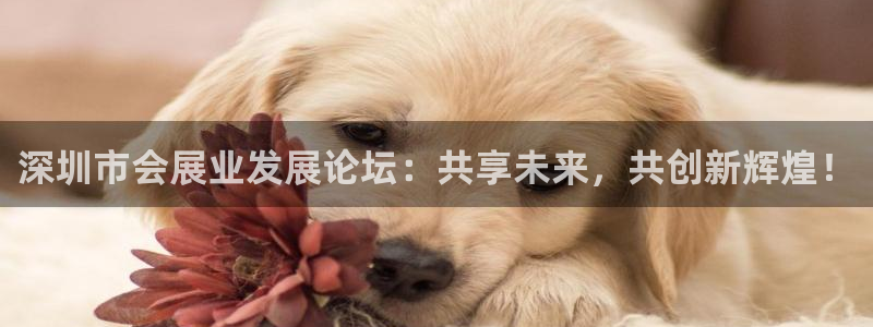 果博集团：深圳市会展业发展论坛：共享未来，共创新辉